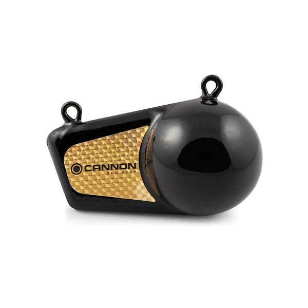 Cannon 8 Pound Flash Weight - 2295182