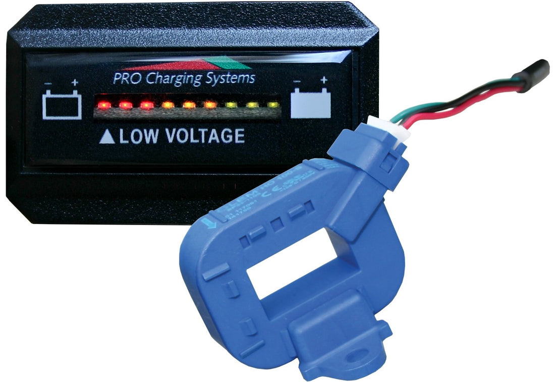 Dual Pro Lithiumm Battery Status Indicator Horizontal Display - BFGHLITH