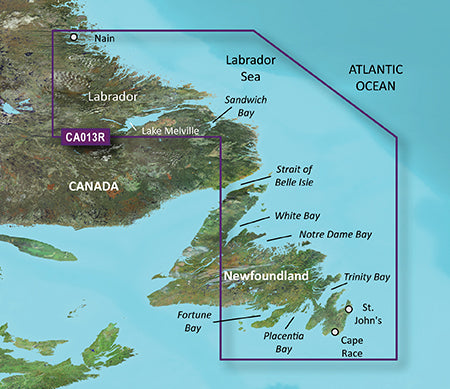Garmin Vca013 R G3 Vision Labrador Coast