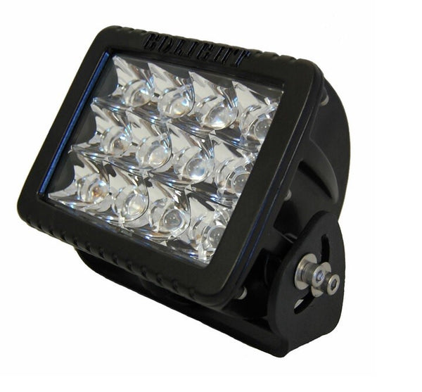 GoLight GXL Fixed Mount Black Flood Light - 4421