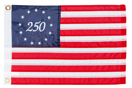 Taylor Made 12in x 18in 250 Years of Freedom American Flag - 8419